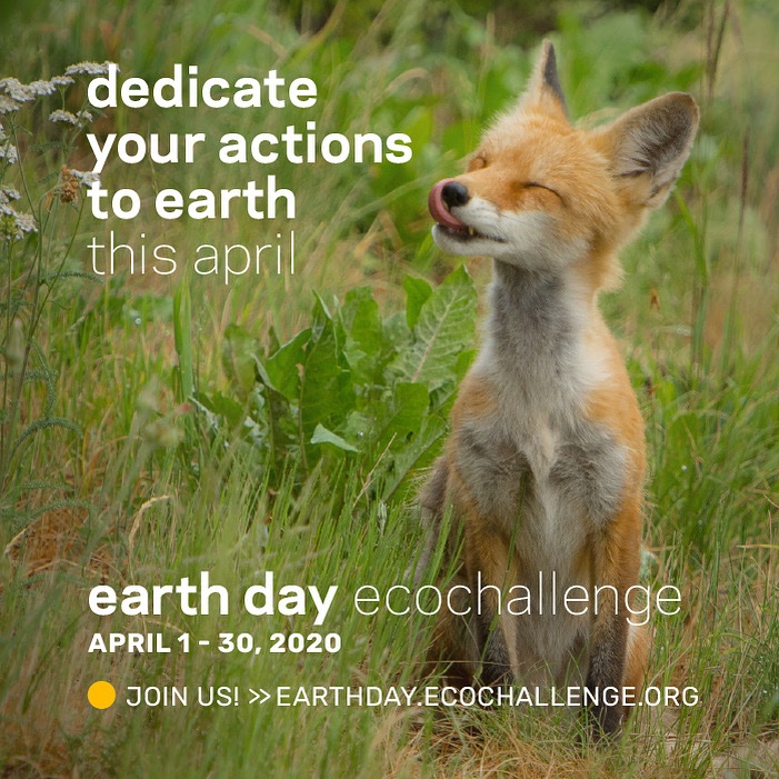 Join Ramblers Go Green team as we try Earth Day EcoChallenge starting today! This is a web-based competition to get us all involved in taking actions to better the planet. Participate in daily challenges by clicking here: luc.edu/sustainability…