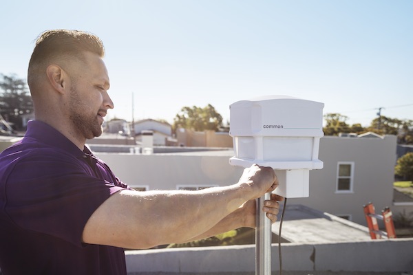 Common Networks tweet media