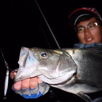 palms_global's tweet photo. Seabass with The Smelt in Japan 🇯🇵
Rod: Shore Gun EVOLV
Lure: The Smelt 20g
#palms #palmsfishing #zetz #anglersrepublic #seabass #seabassfishing #saltlure #saltlurefishing #shorefishing #shoreseabass #shorejigging #shorejig #jigging #metaljig #metaljigs @palms_global https://t.co/8mnFW2y5dX