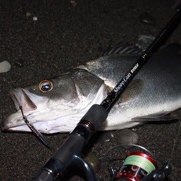 palms_global's tweet photo. Seabass with The Smelt in Japan 🇯🇵
Rod: Shore Gun EVOLV
Lure: The Smelt 20g
#palms #palmsfishing #zetz #anglersrepublic #seabass #seabassfishing #saltlure #saltlurefishing #shorefishing #shoreseabass #shorejigging #shorejig #jigging #metaljig #metaljigs @palms_global https://t.co/8mnFW2y5dX
