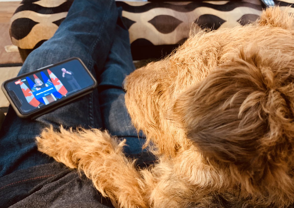 BarkBusterGuys's tweet photo. Even #Drake is watching Dr.Deena Hinshaw 🐶🐾😀 YourAlberta (Government of Alberta) #AlbertaProud  #Covid19ab #weareinthistogether #abhealth  #Alberta #AlbertaCares @CMOH_Alberta https://t.co/J3Z1PNZ91C