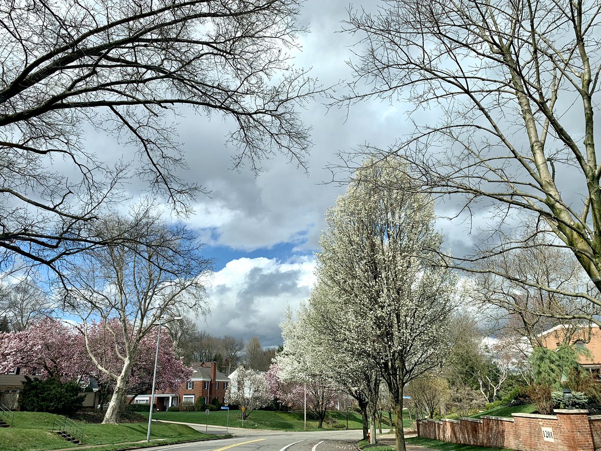 AnumSaeedMD's tweet photo. When the city sky can’t decide between the sun and clouds...but you have decided it’s pretty either way :) 
#StayHopeful #DistantYETConnected 💛🤍 https://t.co/3IS4EohOcc