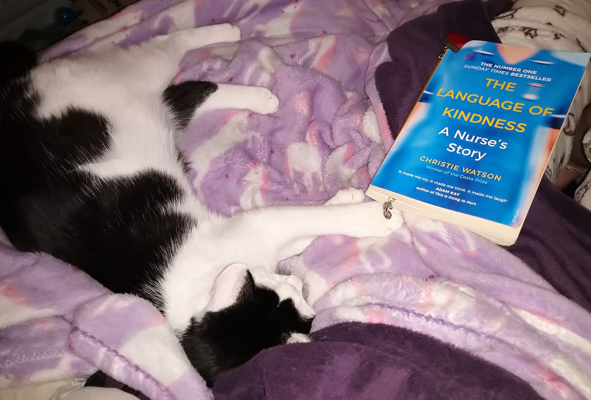 And #relax look at Luna Boona #cuddledup #kitty #cat #paws #pawsandpages #reading #book #TheLanguageofKindness #author #nurse #ChristieWatson #vintagebooks #blankets