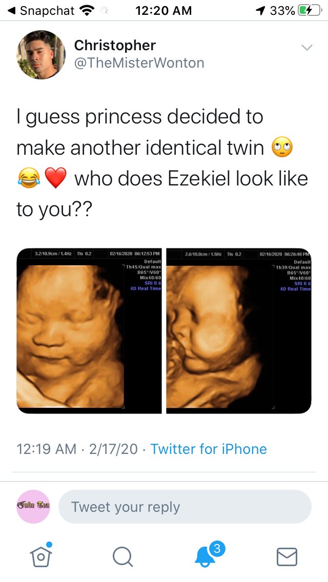 Daisy Noel tweet media