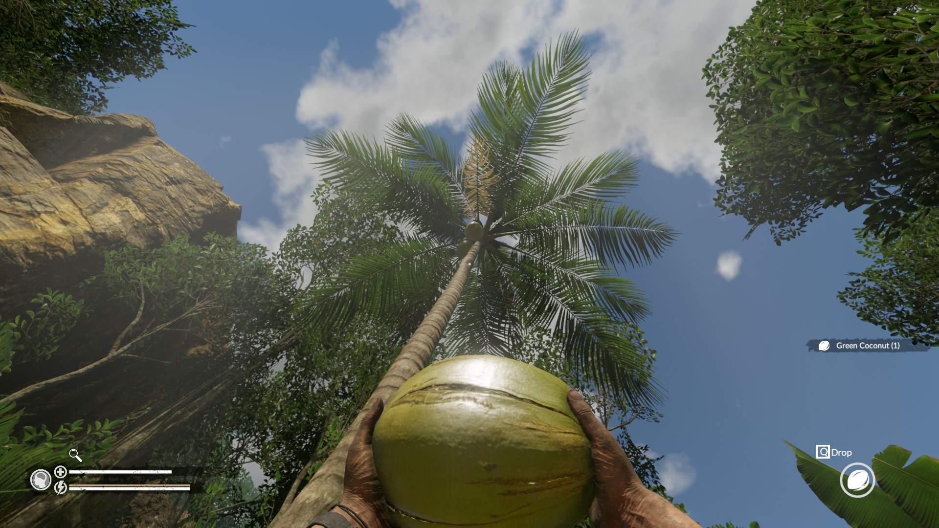 Green Hell Co Op Mode Is Less Than A Week Away And We Re Just About Ready To Celebrate We Ve Got The Coconut Who S Bringing The Pineapple And Rum Survive Together