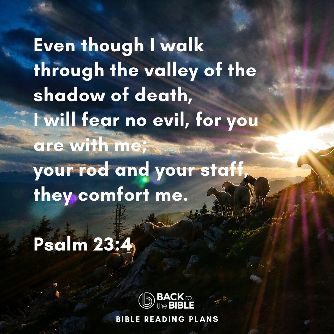 BacktotheBible's tweet photo. ✝️ God is with you! That is today's message in our ongoing series Fear vs. Faith with @natmaan: https://t.co/lzt9lXKw5a
#bibleverse #bibleengagement #truth #dailyscripture #dailyencouragement #dailymotivation #christianity
#backtothebible #bibletime #biblestudy #fearvsfaith https://t.co/haGPVrAeDa