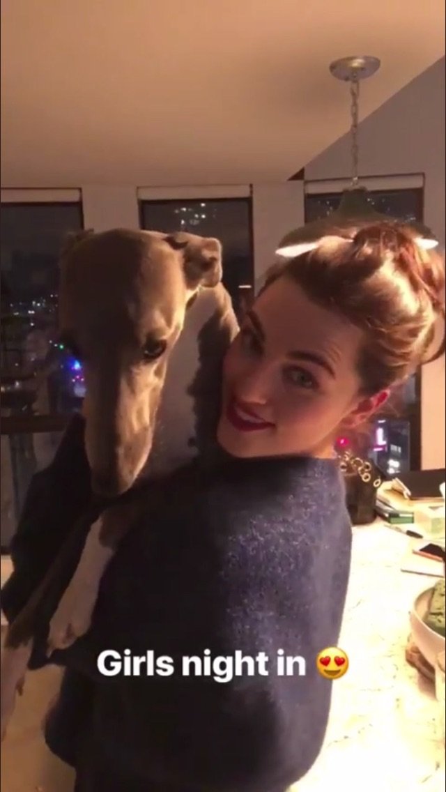 Katie McGrath with Oisin (and other dogs ) A thread