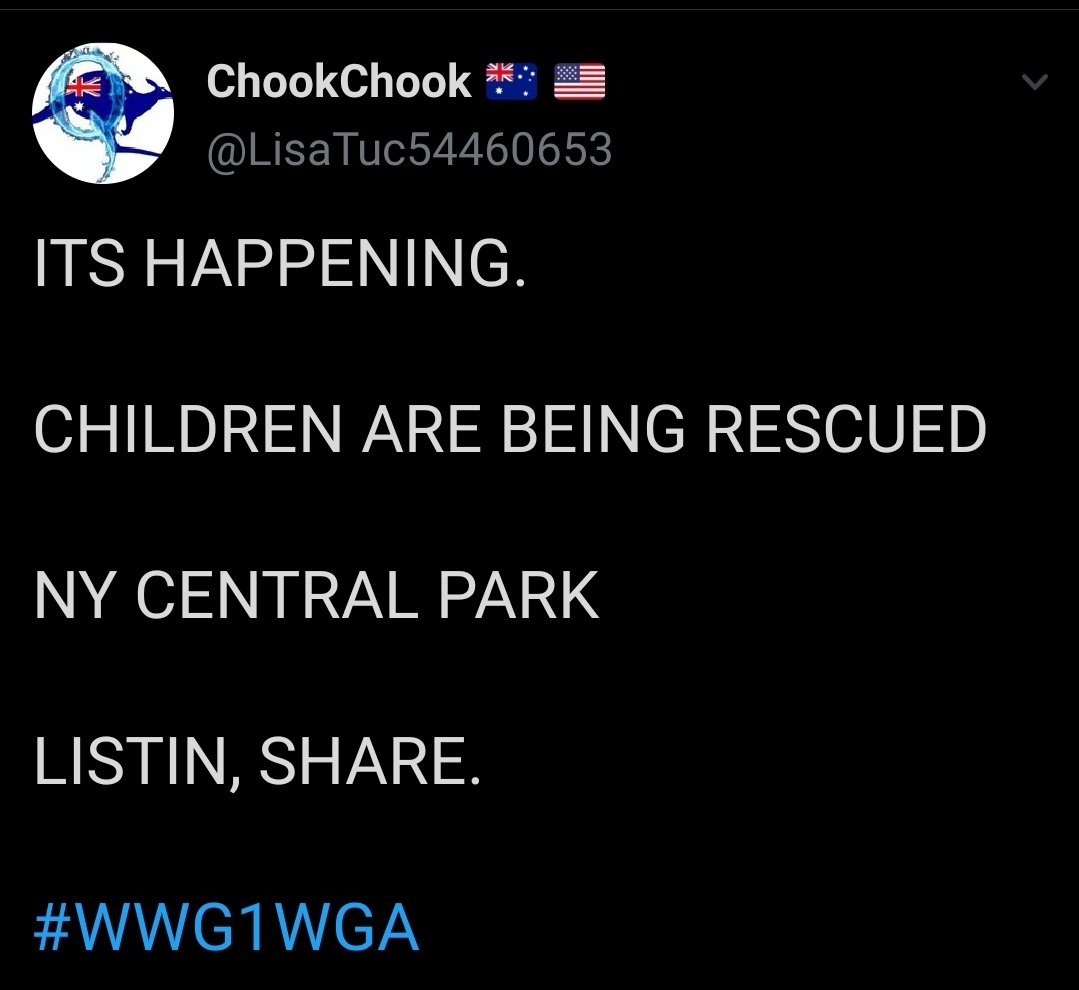 QAnon followers baselessly think that a child rescue operation is happening in Central Park right now. They believe this because of a recording of an unknown man saying that his friend's girlfriend, who is a nurse, knows other nurses who are working in Central Park. 4th hand.