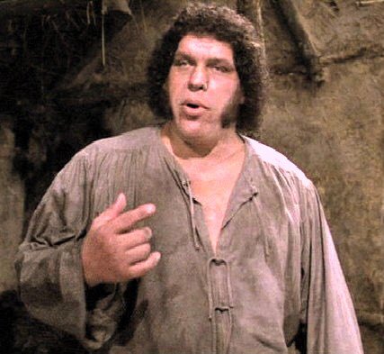 DeepTrackMovieQ's tweet photo. “Why are you wearing a mask? Were you burned with acid or something like that?” -Fezzik #ThePrincessBride https://t.co/ynyg9hJID3