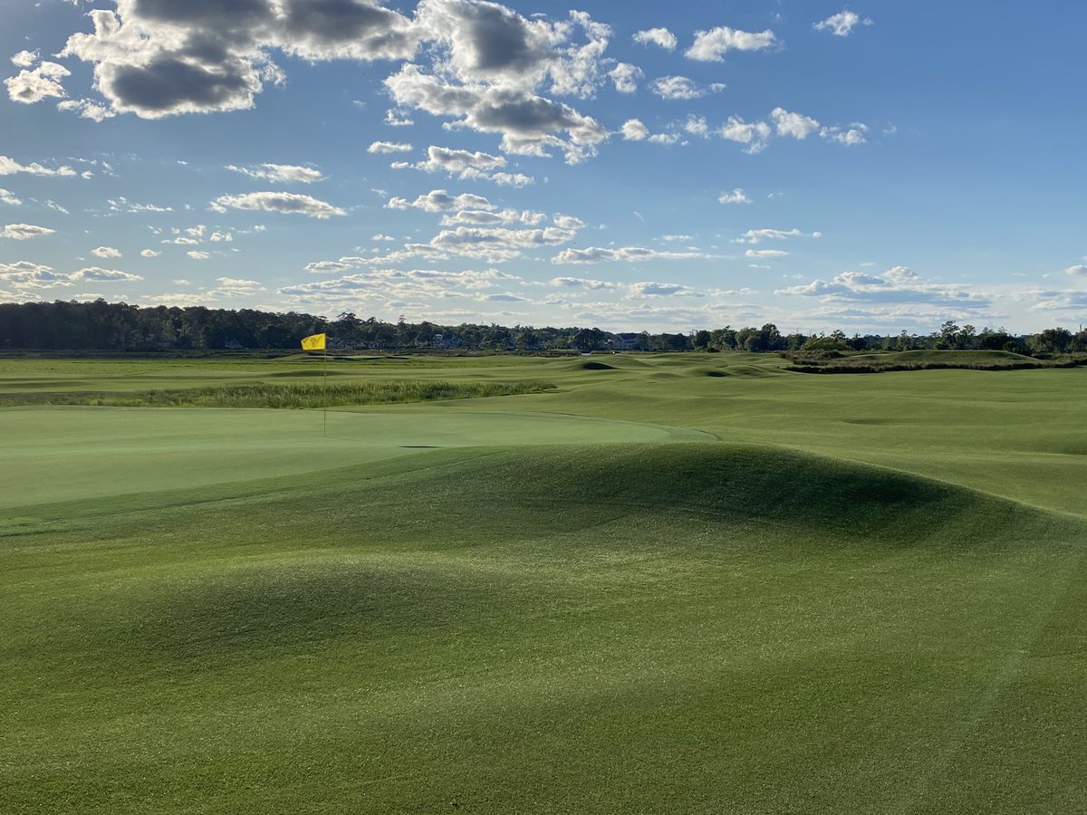 Thank you Mr. Dye. ⁦<a href="/fordplantation/">The Ford Plantation</a>⁩ A real treasure!