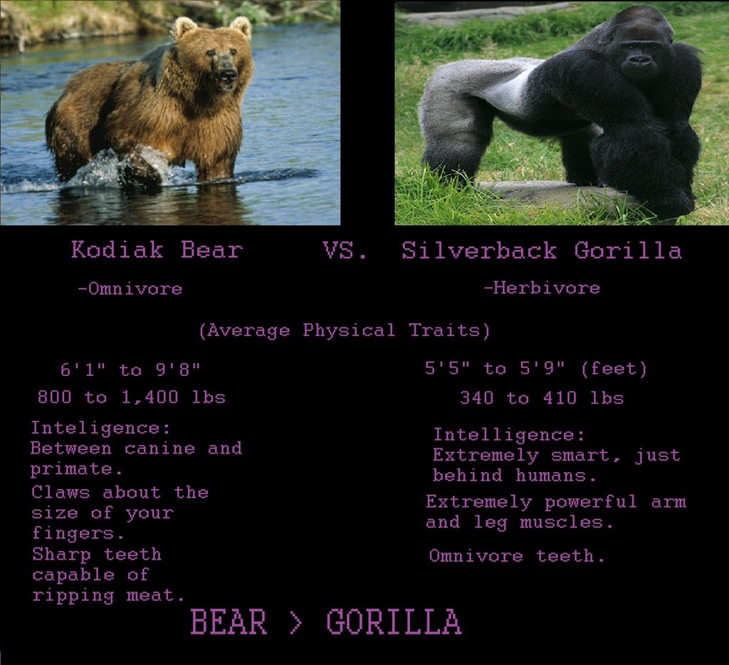 gorilla vs grizzly bear