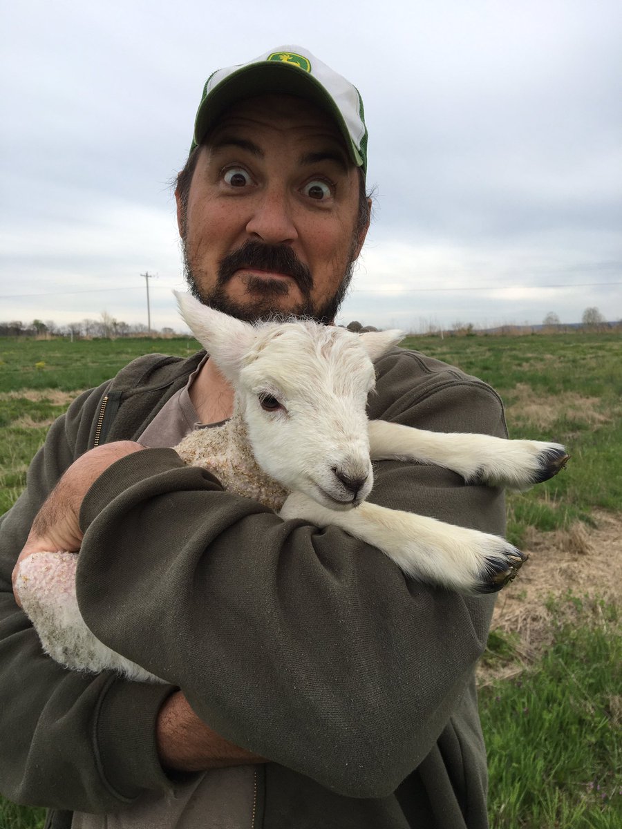 ozarkdraftpower's tweet photo. A rich, full day on the farm. Plus a surprise lamb! #ozarkfarming #draftpoweredfarm #covidlife https://t.co/jv9n6fUBIc