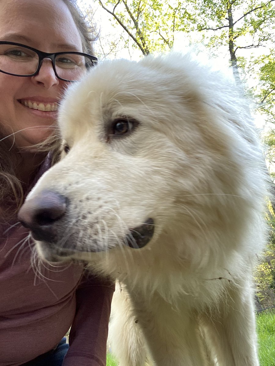 SmithBethC's tweet photo. Pet day for Virtual Spirit Week. Meet Captain. @HoochYBK #hoochvscorona https://t.co/7VjyNZURYc
