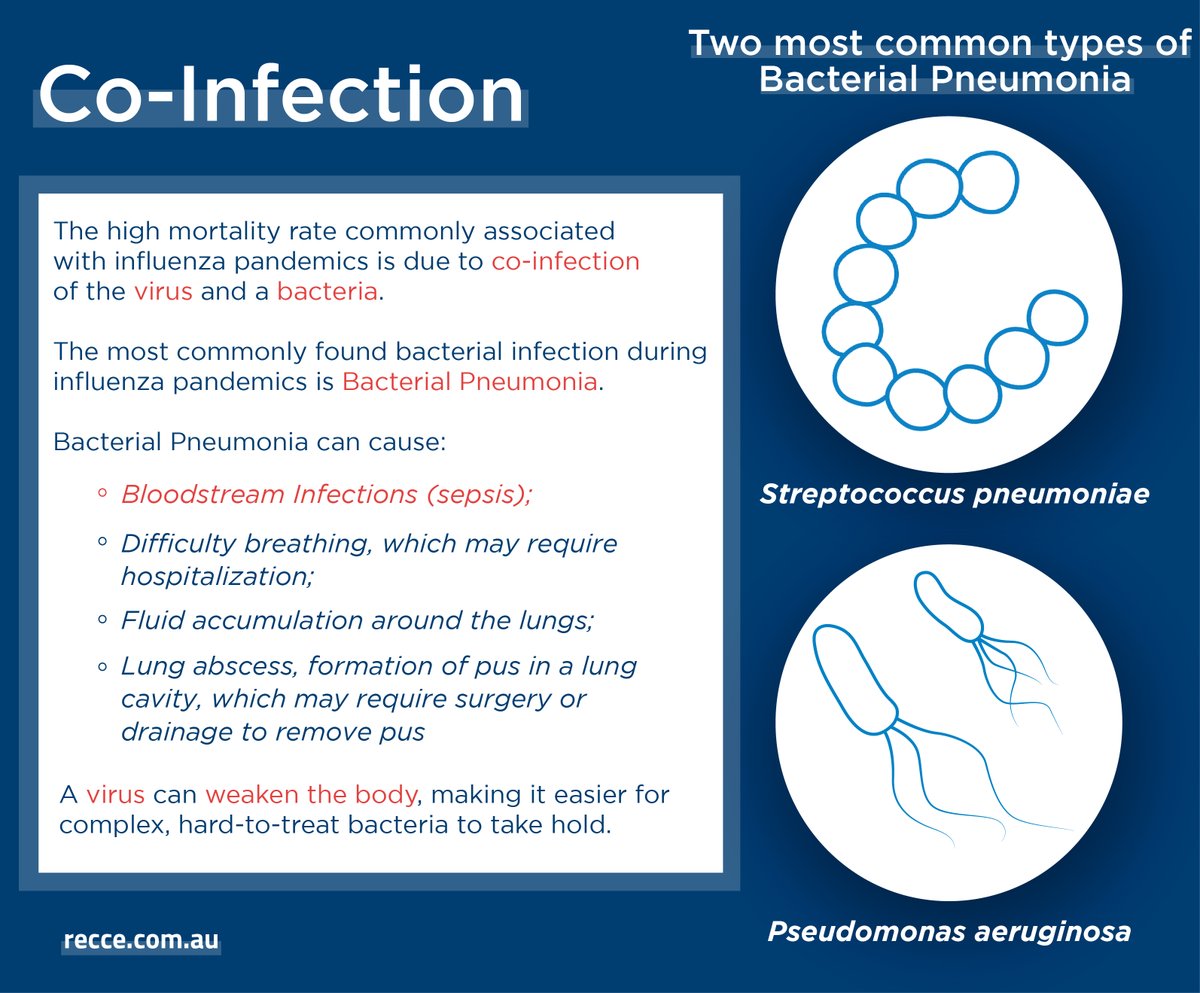 The high mortality rate commonly associated
with influenza pandemics is due to co-infection
of #virus & #bacteria. People at greater risk from #superbugs are those vulnerable to viral #lunginfections. More on the bacteria we kill here recce.com.au/index.php/prod… #COVIDー19 #COVID19au