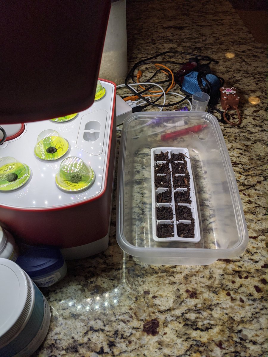 Piggirlee tweet media