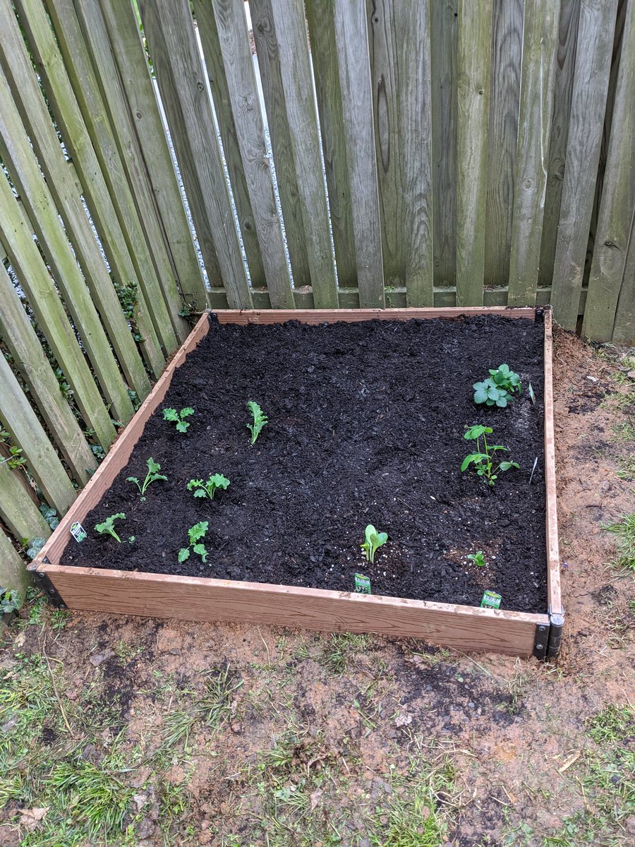 Piggirlee tweet media