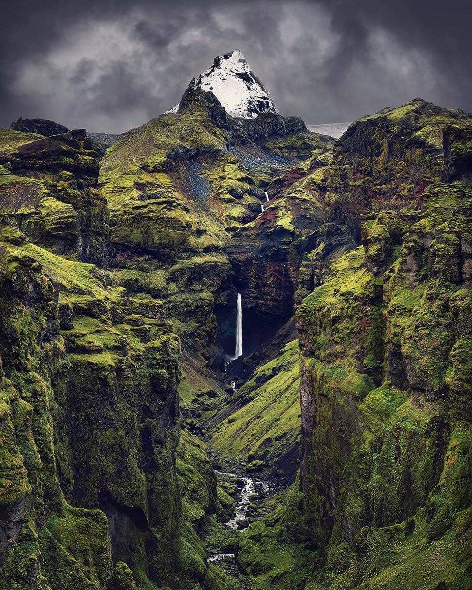 SkogarFarm's tweet photo. #Iceland Estern region https://t.co/COG0ldfcA4 https://t.co/wyXRpzfRzy