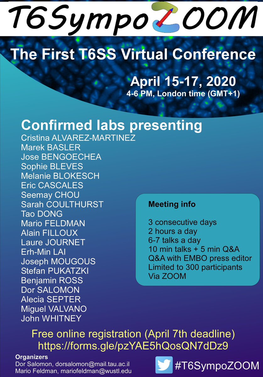 Mario Feldman tweet media