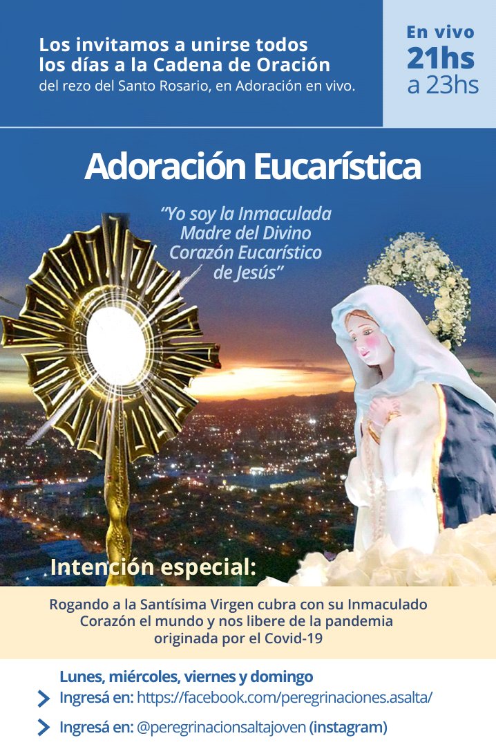 PEREGRINACION SALTA tweet media
