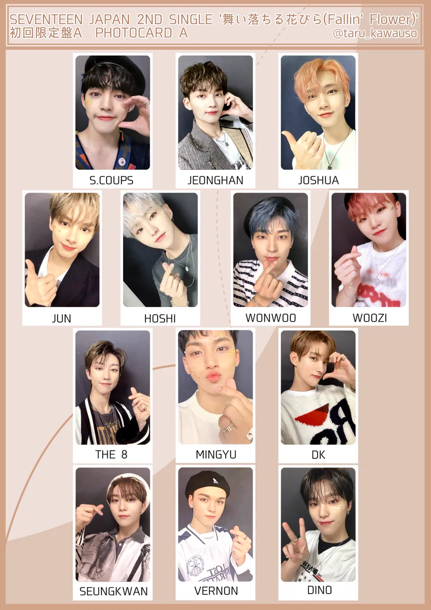 SEVENTEEN Collection on X: 