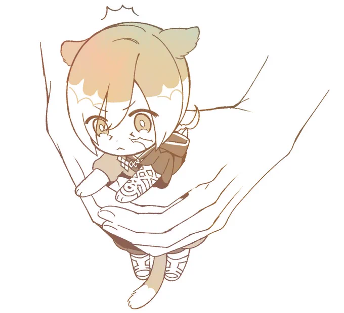 こねこう 