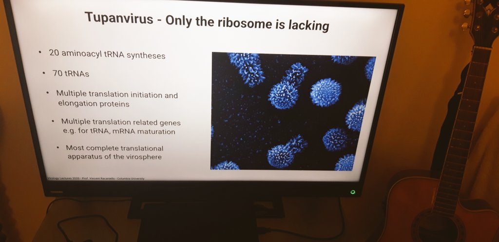 Nothing like an up-to-date [virtual] #virology lecture to take the edge off! 
Now, apparently, there is a #giantVirus out there whose genome encodes a near-complete translational apparatus, sans the ribosome. I think I'm in love.
Huge thanks to @profvrr for the awesome materials.