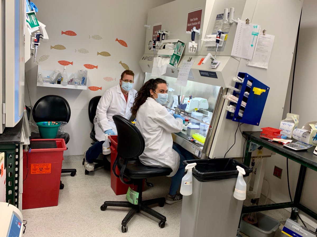 Precision Vaccines Program tweet media