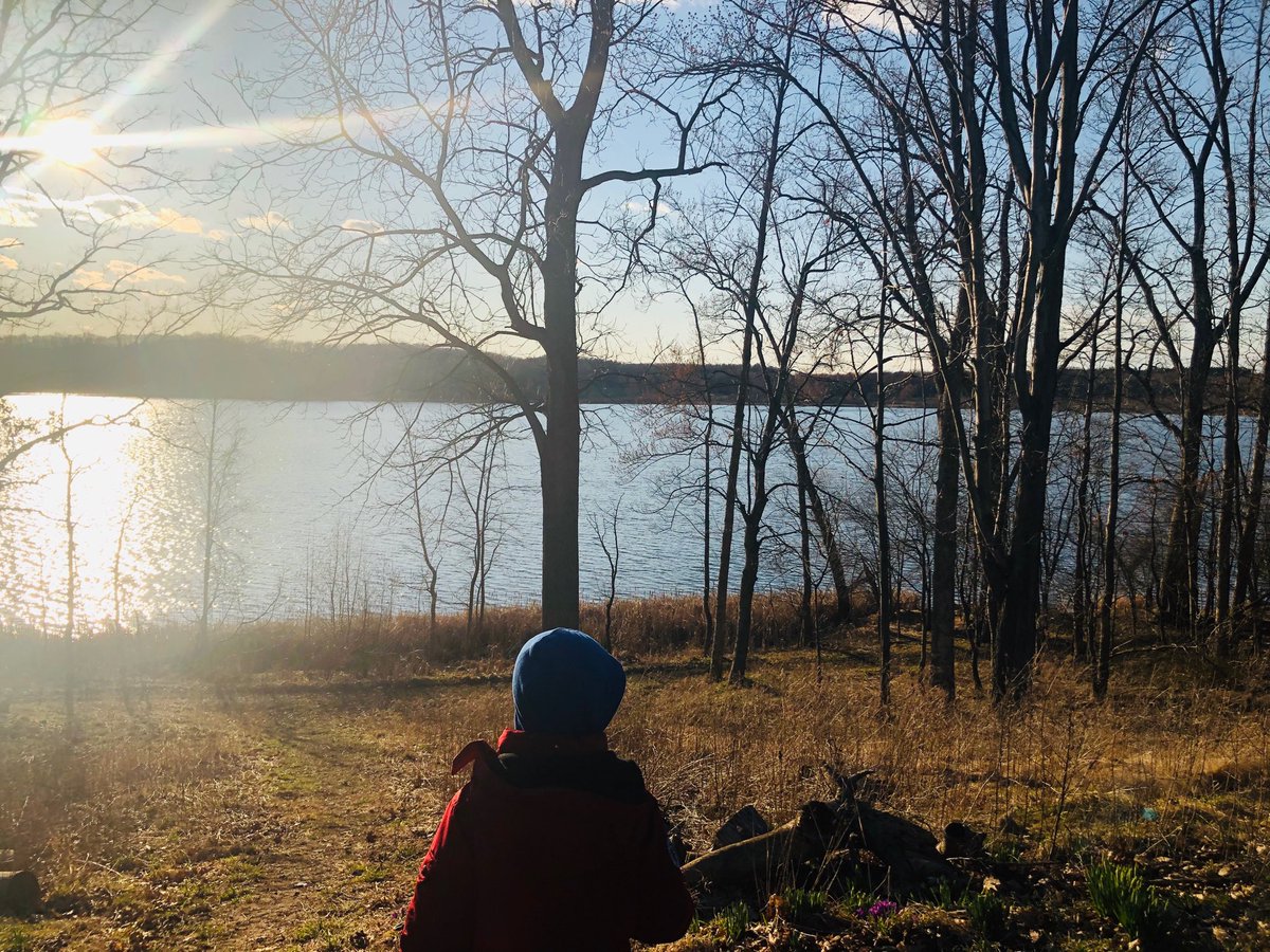 Lincoln Park School No. 44 tweet media