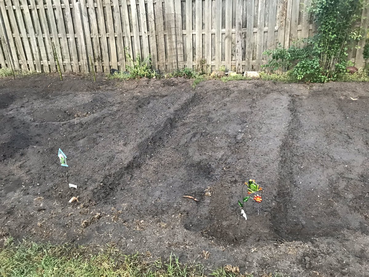 Godfrna1's tweet photo. Its a perfect time to get your garden ready. Some plants need mounds and some grow better in rows. Can you guess what we’ll be planting? @isteamprof @HayleeGreene2  @Anastas92385730 
#1stgradeBK8grows #STEAMteams https://t.co/N2LNmTtKvt