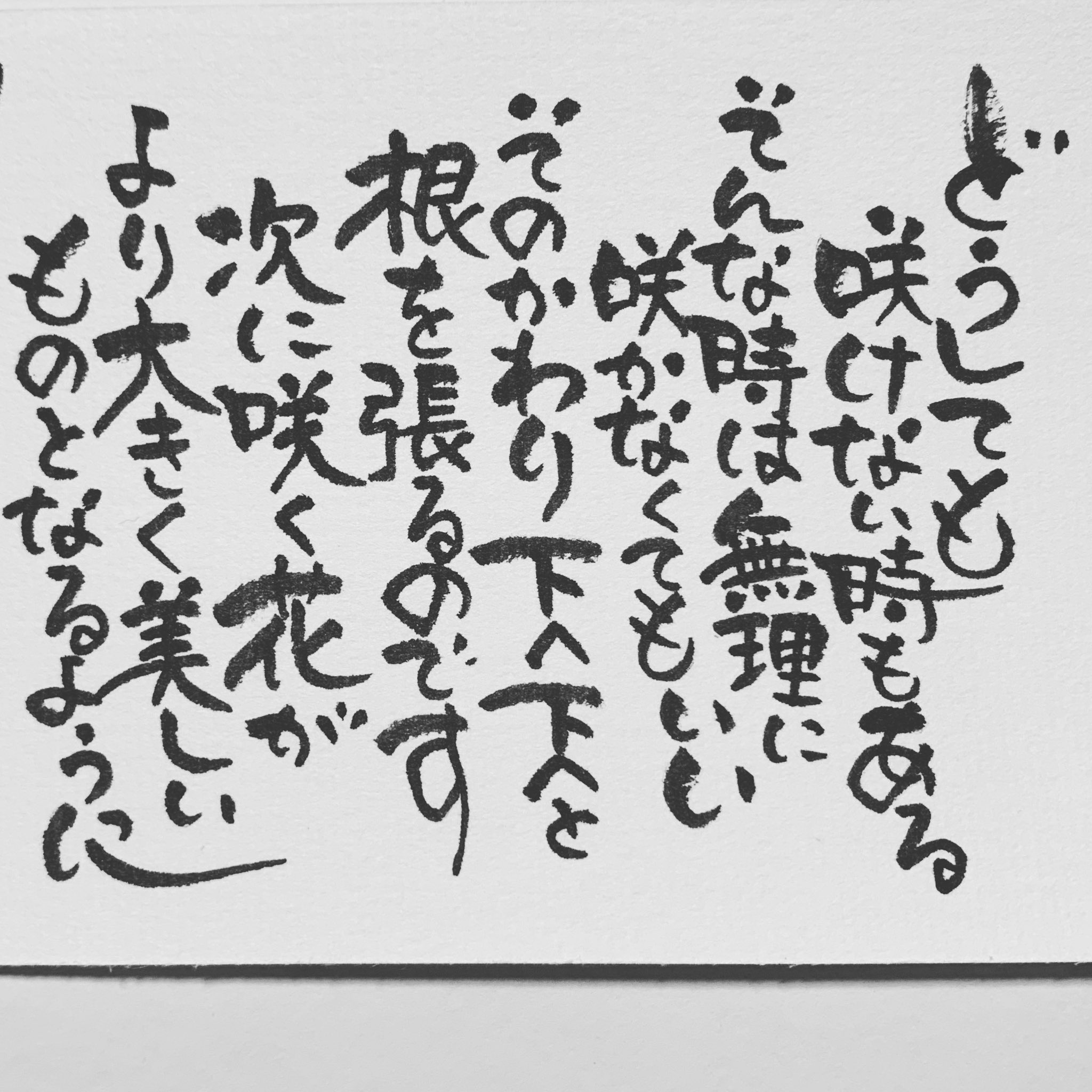 置かれた場所で咲きなさい Twitter Search Twitter