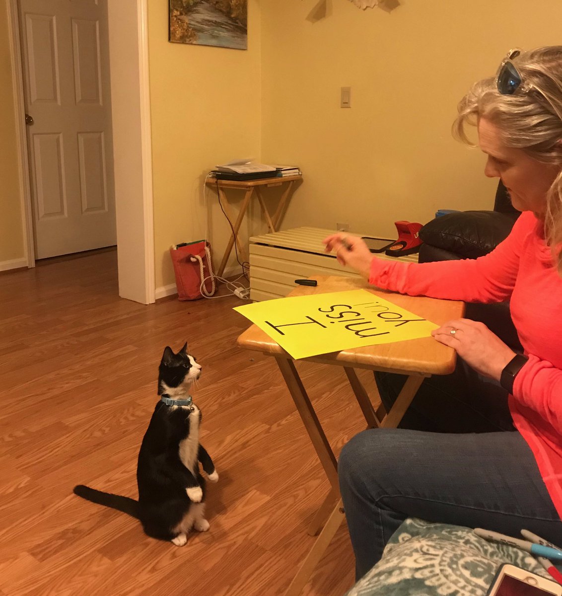 ChristaDMorgan's tweet photo. #VCEathome https://t.co/S16unFQuhr