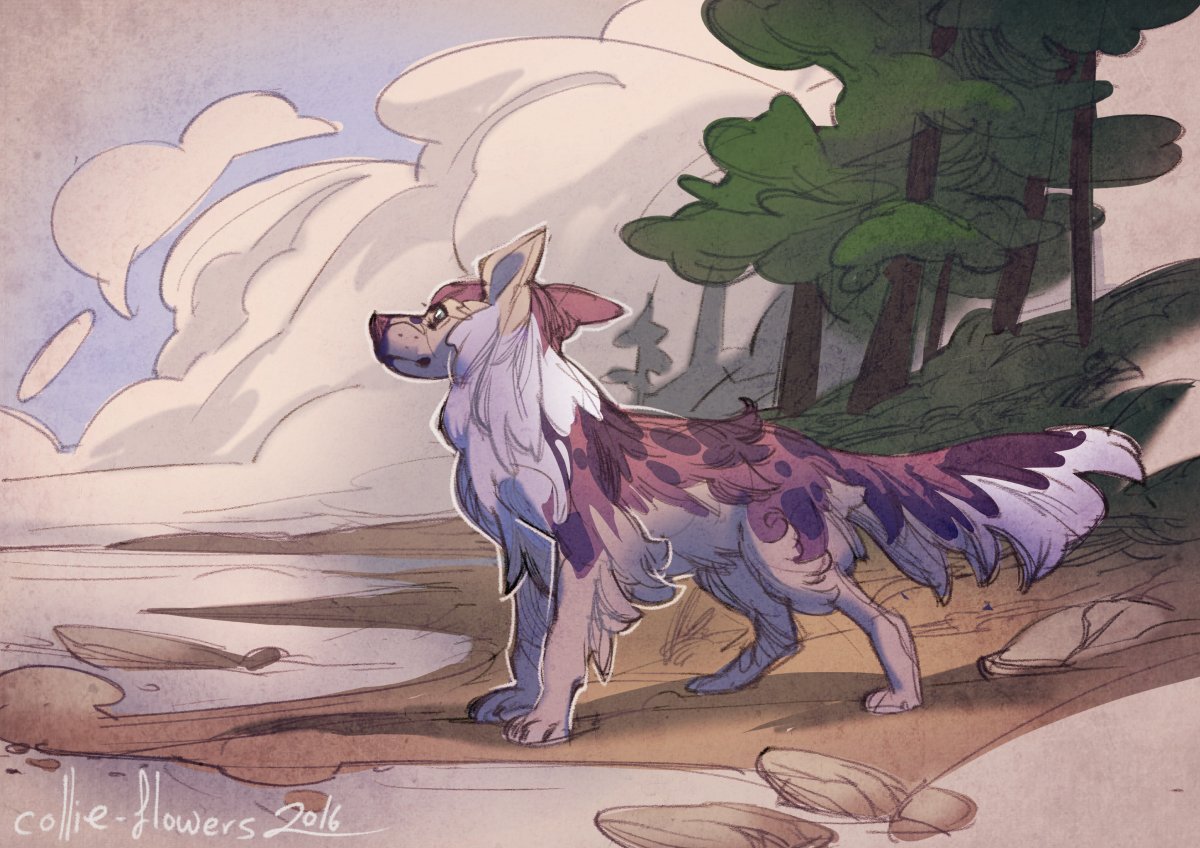 TankYeen's tweet photo. Finally the one that hurts to say goodbye to the most, Coast the merle border collie designed by @/hoot now available for $300 OBO! Comes with 13-14 pieces of art (including Telegram stickers!).

Would make an amazing suit!

Comment or DM to claim. #Adoptable #CharacterArt https://t.co/HEllDBIRY0