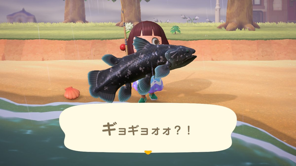 nrmn2424's tweet photo. #どうぶつの森 #AnimalCrossing #ACNH #NintendoSwitch https://t.co/JTvEApp2Vr