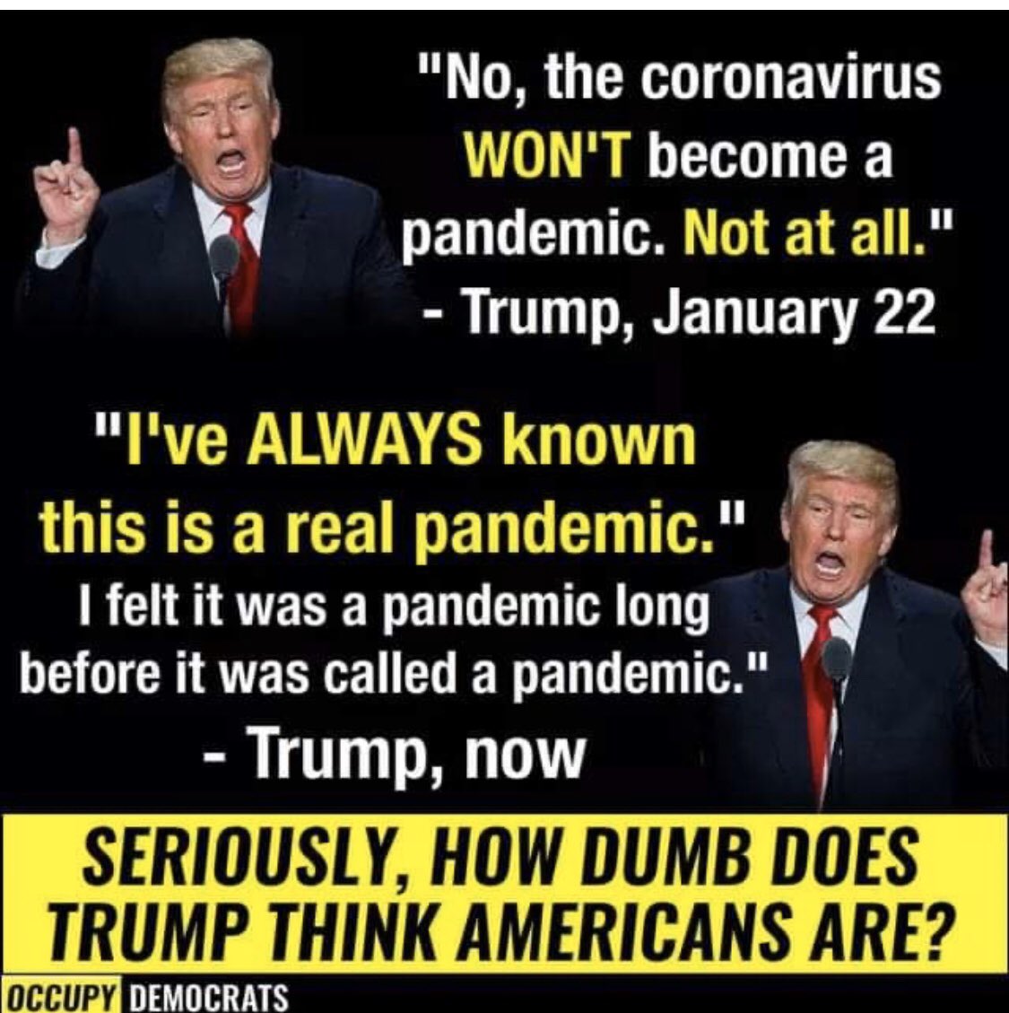 GulliAz's tweet photo. @CokoGay @sdr_medco @RoseSage6 @PuffDomino @Yes_We_Can_44_ @margie_strike @lunaticopresid1 @LeonaLioness666 @PsychoHouse11 @polarsprite @sonya_gault @FaithCampbellJ1 @DarwunStJames @KimRuxton @Stop_Trump20 @4a_of @uflo5 @Ironhorse76 @michelle_spenc @PetraMcCarron2 @oregon_resister @twendi66 @usernewm @SDDNP @Otismerk @puzzlepeaces @asil09 @RitaMacMom @eabl81 @teddy275 @HappyHound1 @UtahCruz @Gr3Te4rights @sergeivote Thank you very much for including me on your list with so many great resisters. Wishing you a very safe Thursday morning. 💙❤💙 https://t.co/hWjIhXY6Z8