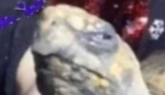 Watch Yosuf's leaked NSFW photo on TwXstars