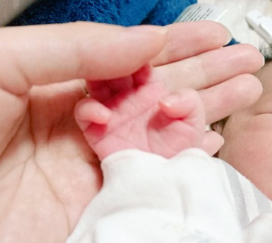 霞 Mist 1枚目私の左手 2枚目旦那の左手 3枚目娘の右手 家族で片手ますかけ線 ᐛ 個性強すぎて 隠れた才能ありな我が家 手相 ますかけ線 家族 T Co Omint41wcq Twitter