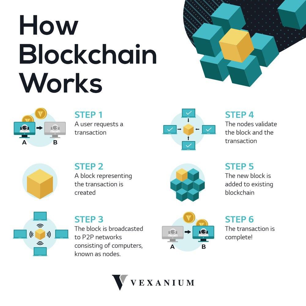 vexanium's tweet photo. Hi Vex Partners! Previously, we have explained briefly about the definition of blockchain.
On today #eduVEXtion, we are going to show you how blockhain works in a simple way!
(English and Bahasa Indonesia ver.)
#Vexanium #Blockchain #HowBlockchainWorks #CaraKerjaBlockchain https://t.co/PRQ73qS8eW