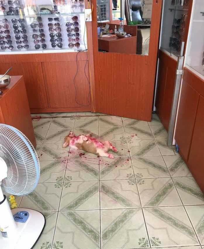 Scarica Gratis Images Zdtu3soga5mrm actualisé salutations