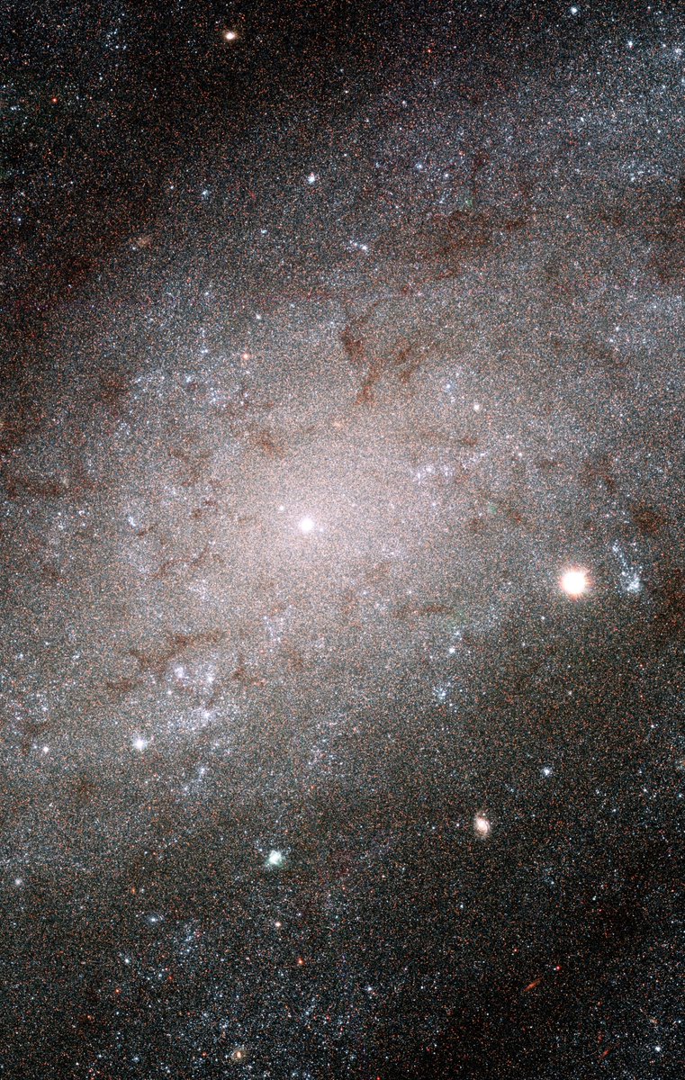 pluem pongpisal, july 19 – galaxy ngc 300 @PluemPong  #pluempong