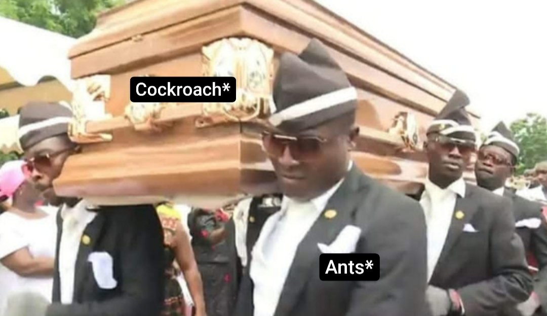 _xishann's tweet photo. #coffindance #memes 
Me - *Kills a cockroach*
.
Ants* https://t.co/jkWSN49N4D