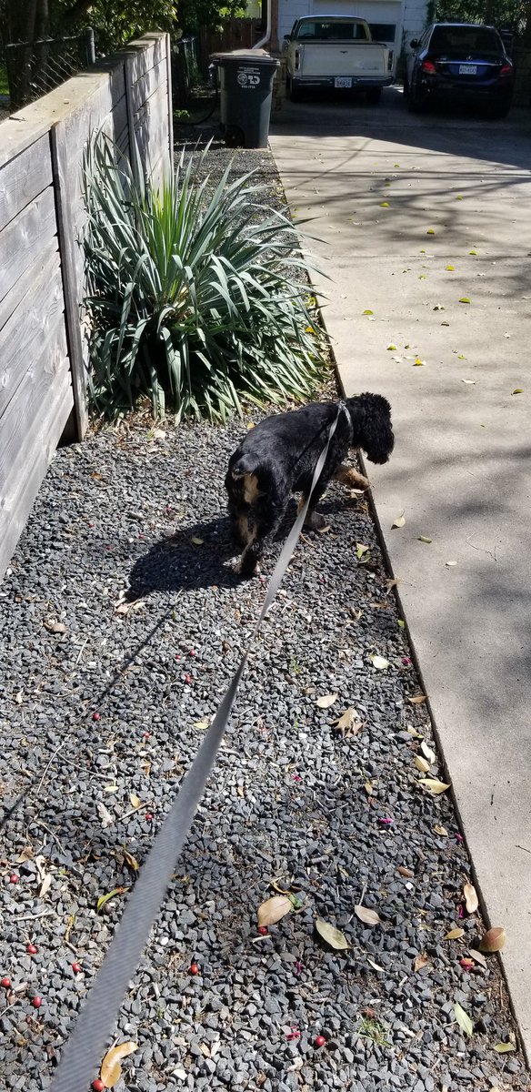 Samantha Walton tweet media