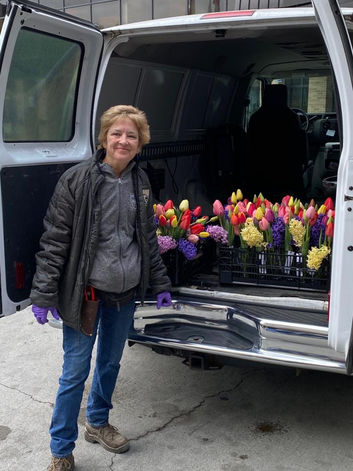 Today we shared some of our beautiful blooms with staff at neighboring Cincinnati Children's Hospital. This year, since the Zoo is closed, we will bring the blooms to homes via virtual garden tours &amp; will deliver real flowers to hospitals &amp; nursing homes: ow.ly/FnY750z2PCh