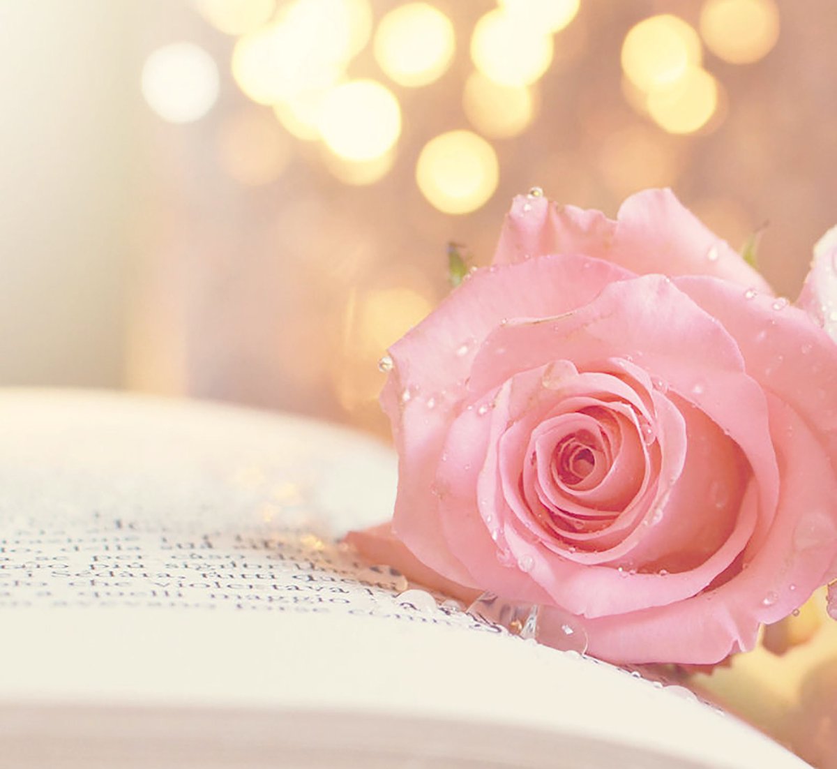 __Old__Soul's tweet photo. You are the poem 
I never knew how to write
 
and this life is the story 
I have always wanted to tell..

~ T. K. Gregson https://t.co/pzdGSpcHsd