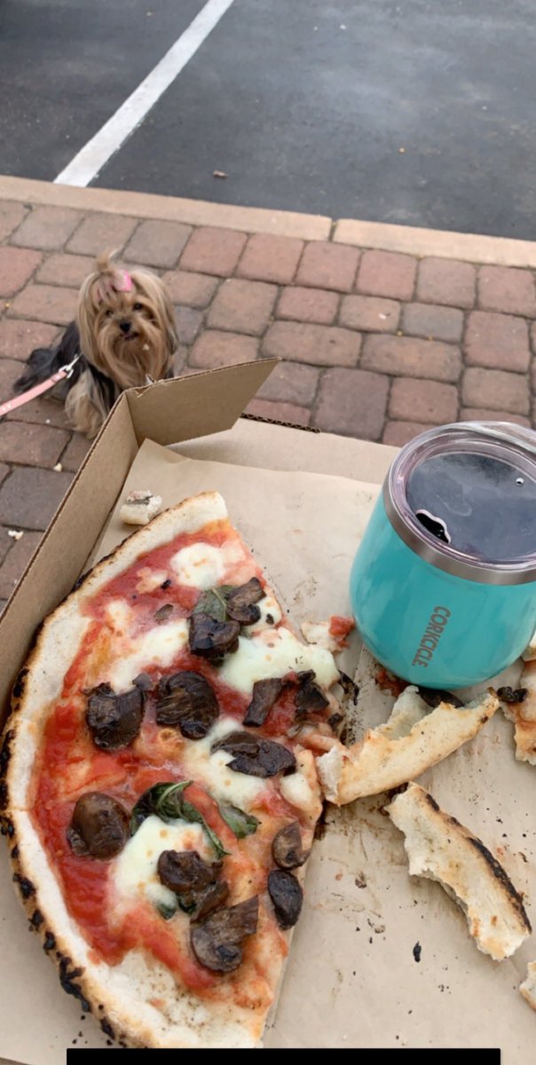 GRITSGAL's tweet image. I’m proud to announce I have started a new position with USA Social Distance Team! You can find me on my bicycle with @thatyorkie the next few weeks! 🇺🇸 #socialdistance #socialdistancing #coronavid19 #covıd19