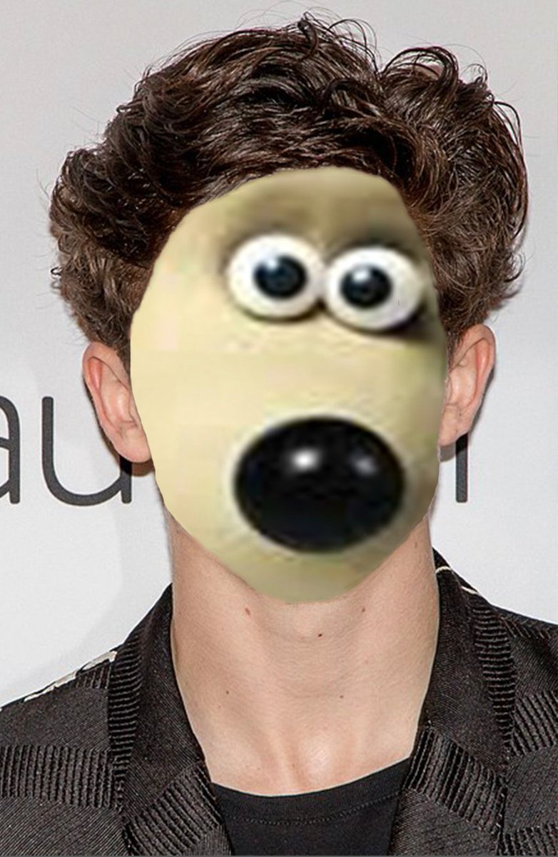 MadelineBiever's tweet photo. @RealChalamet I was telling a friend about how happy it made me that you once wore a Wallace And Gromit shirt and they made this monstrosity that will hopefully make you laugh and not just haunt your dreams ✌️🤘 https://t.co/vExjnUvY9J
