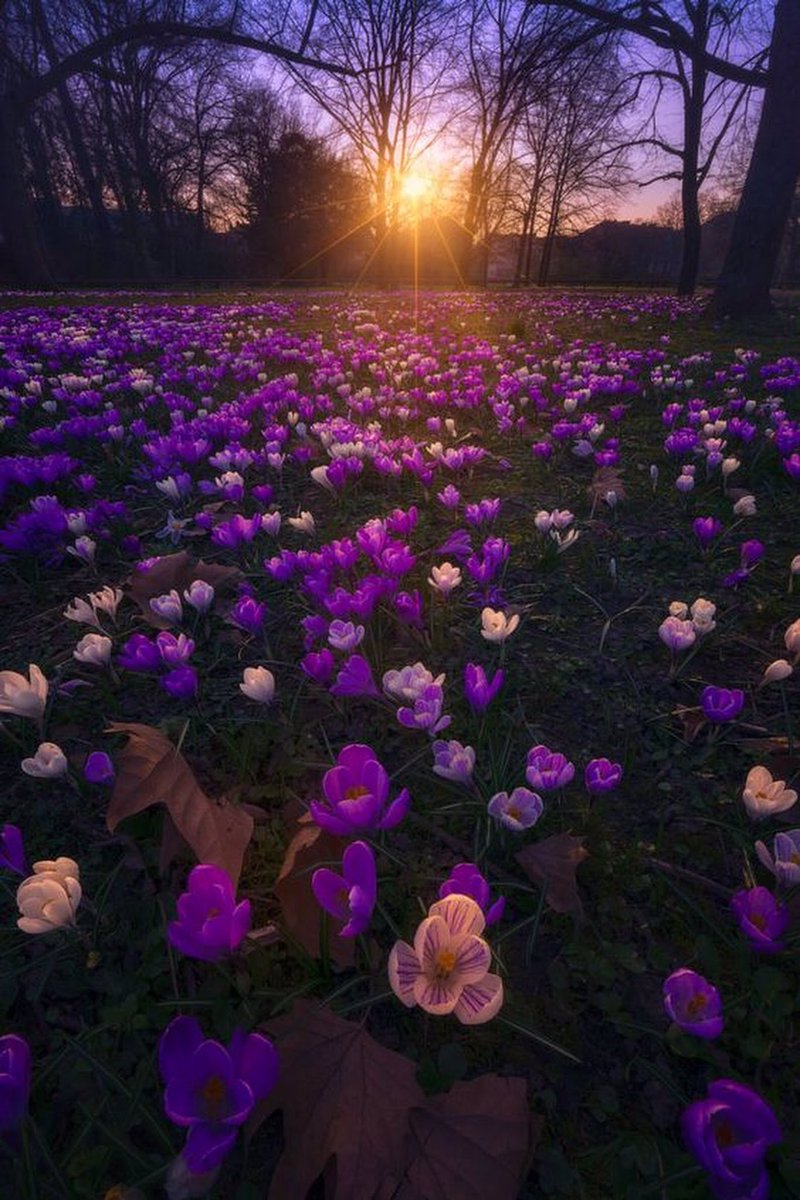 __Old__Soul's tweet photo. The essence of all beautiful art,
all great art, is gratitude..

~ Friedrich Nietzsche https://t.co/jHGcYrzkQB