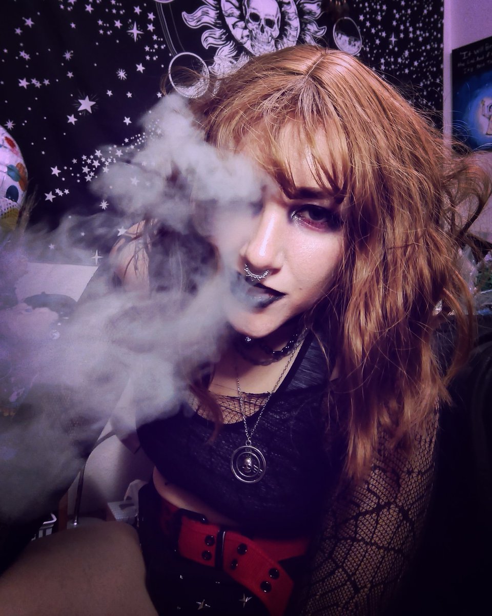 mayhem_milo's tweet photo. I really like how this came out. #wdhtdash #wdhtd https://t.co/69O4cN1FFJ