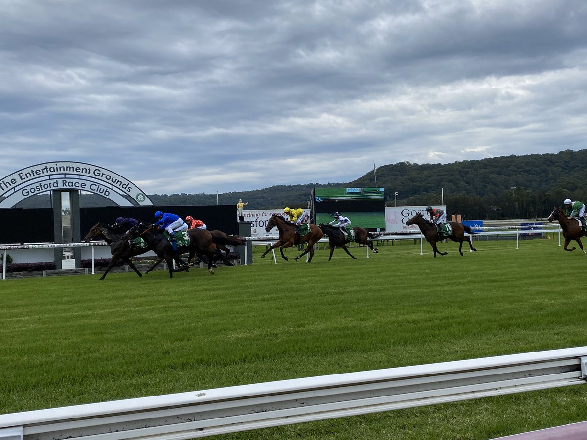 gosford_races's tweet photo. RACE 1: 3YO MDN H/C - 1000m
Winner: Midsummer Rain
Trainer: @ClareCRacing
Jockey: @gibbo7822
Midsummer Rain brings it home in beautiful form, on debut for the Clare Cunningham stable. Congratulations to winning connections 👏🏼 https://t.co/KkjDjc9c9q