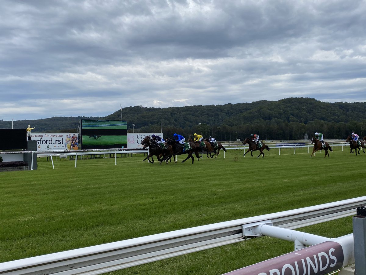 gosford_races's tweet photo. RACE 1: 3YO MDN H/C - 1000m
Winner: Midsummer Rain
Trainer: @ClareCRacing
Jockey: @gibbo7822
Midsummer Rain brings it home in beautiful form, on debut for the Clare Cunningham stable. Congratulations to winning connections 👏🏼 https://t.co/KkjDjc9c9q