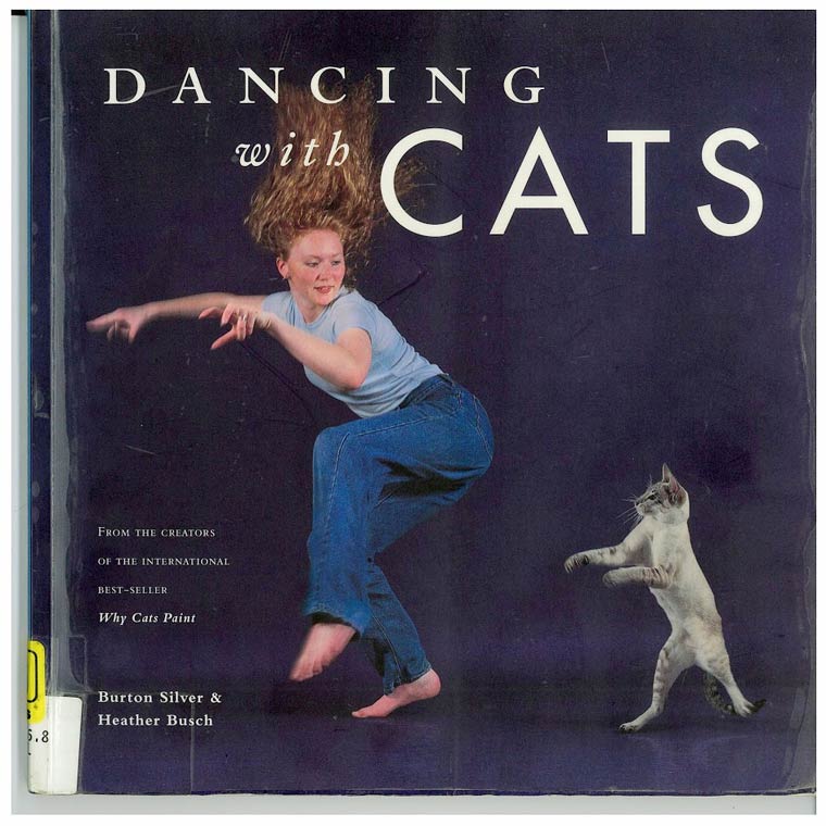 BuckyKatt's tweet photo. @sm9eb #DancingTip It's sporting, and sometimes fun. to involve humans in one's hobbies. #TeamHouseCat #MMMDanceOff #2020MMM https://t.co/BxjhLztFPY